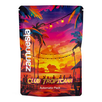 Club Tropicana -paketti &ndash; Autoflower-lajikkeet