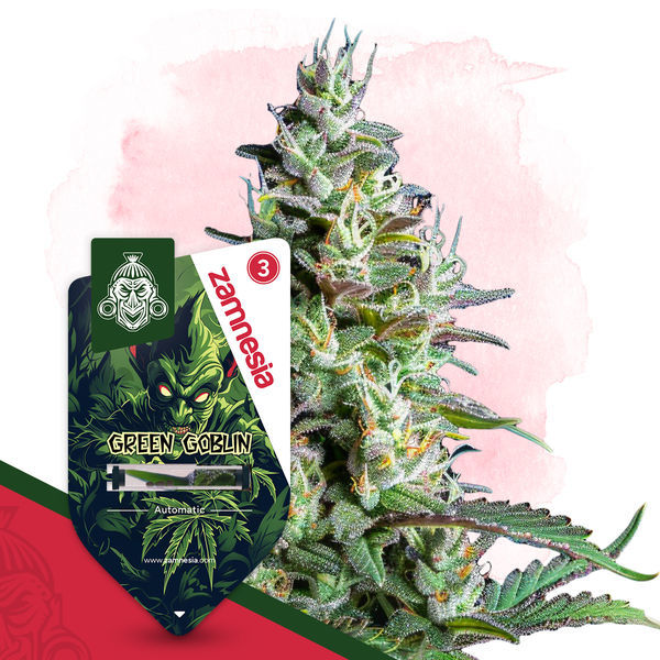 Wild Things -paketti – Autoflower-lajikkeet