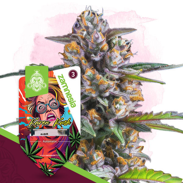 Wild Things -paketti – Autoflower-lajikkeet