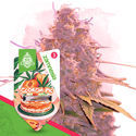 Jälkiruokapaketti – Autoflower-lajikkeet