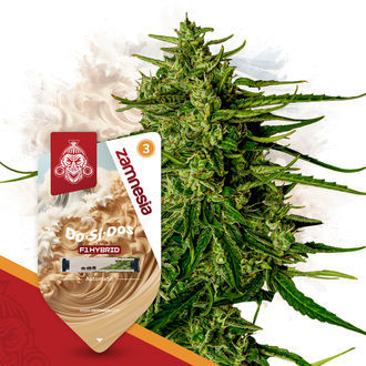F1 Power Pack - F1-hybridisiemenet