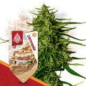 F1 Power Pack - F1-hybridisiemenet