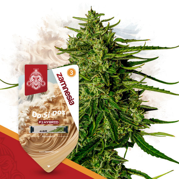 F1 Power Pack - F1-hybridisiemenet
