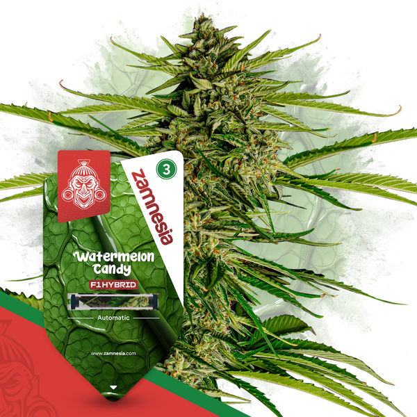 F1 Power Pack - F1-hybridisiemenet