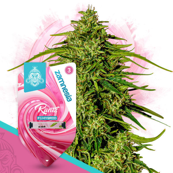 F1 Power Pack - F1-hybridisiemenet