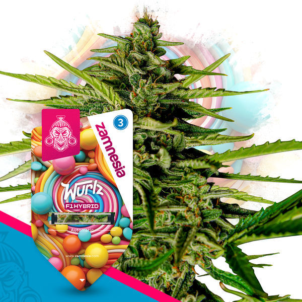 F1 Power Pack - F1-hybridisiemenet