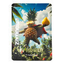 F1 Power Pack - F1-hybridisiemenet