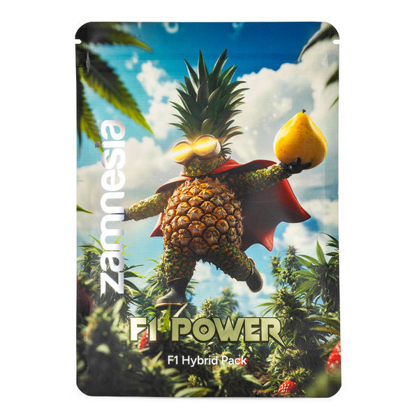 F1 Power Pack - F1-hybridisiemenet
