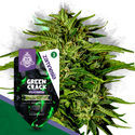 Super THC -pakkaus – F1-hybridisiemenet
