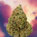 Ice Cream Haze (Dutch Passion) Feminisoidut