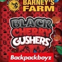 Black Cherry Gushers (Barney's Farm x Backpackboyz) Feminisoidut