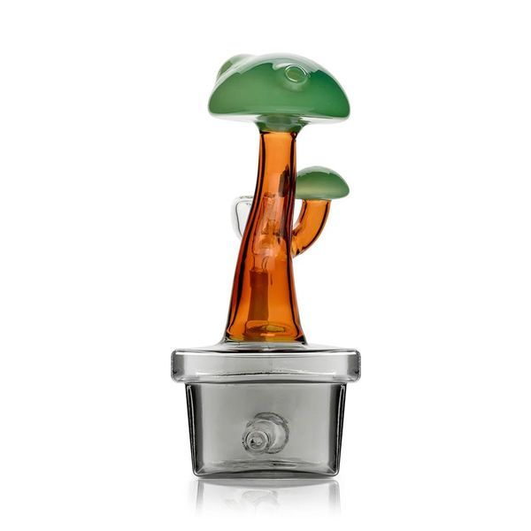 Bonsai-bongi (Hemper)