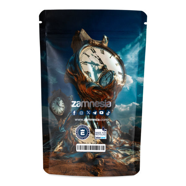 TranceLucid Z-Lock Säilytyspussi (Medium)