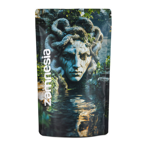 Medusa Z-Lock Säilytyspussi (erittäin suuri)
