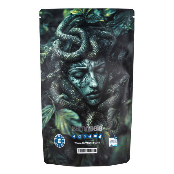 Medusa Z-Lock Säilytyspussi (erittäin suuri)