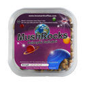 MushRocks Maagiset tryffelit