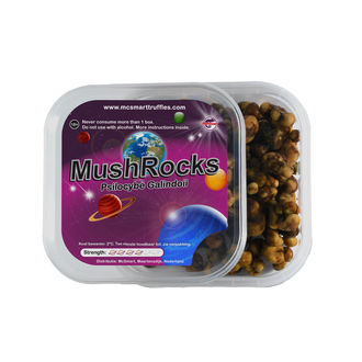 MushRocks Maagiset tryffelit