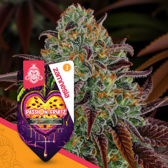 Passion Fruitz (Zamnesia Seeds) Feminisoidut