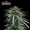 Zmäkdaun (Seedstockers) Feminisoidut