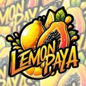 Lemonpaya (FastBuds) Feminisoidut