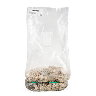 Zamnesia Ready-2-Grow Bag 'Enigma'