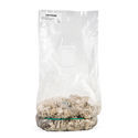 Zamnesia Ready-2-Grow Bag 'Enigma'