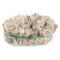 Zamnesia Ready-2-Grow Bag 'Enigma'