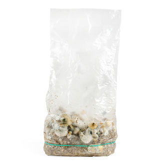 Zamnesia Ready-2-Grow Bag ’Makilla Gorilla’