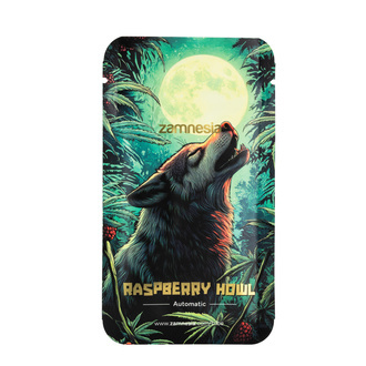 Raspberry Howl Autoflower (Zamnesia Seeds) Feminisoidut