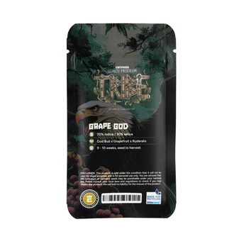 Grape God Autoflower (Zamnesia Seeds) Feminisoidut
