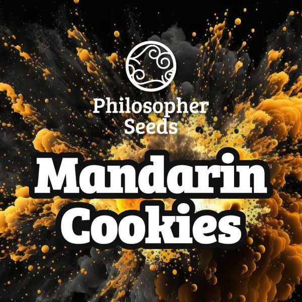 Mandarin Cookies (Philosopher Seeds) Feminisoidut
