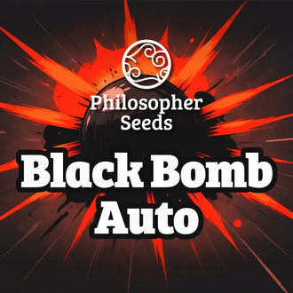 Black Bomb Auto (Philosopher Seeds) Feminisoidut