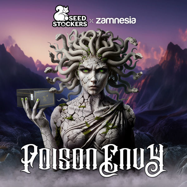 Poison Envy (Seedstockers x Zamnesia Seeds) Feminisoidut