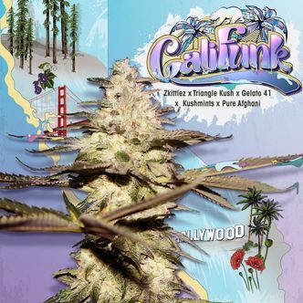 Califunk (T.H.Seeds) feminisoidut