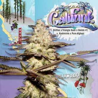 CaliFunk (T.H.Seeds) Feminisoidut