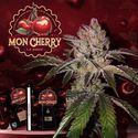 Mon Cherry (T.H.Seeds™) Feminisoidut