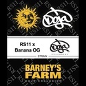RS11 x Banana OG (Barney's Farm) Feminisoidut