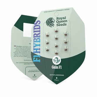 Gaia F1 Auto (Royal Queen Seeds) Feminisoidut