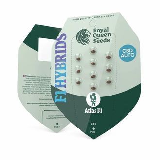 Atlas F1 Auto (Royal Queen Seeds) Feminisoidut