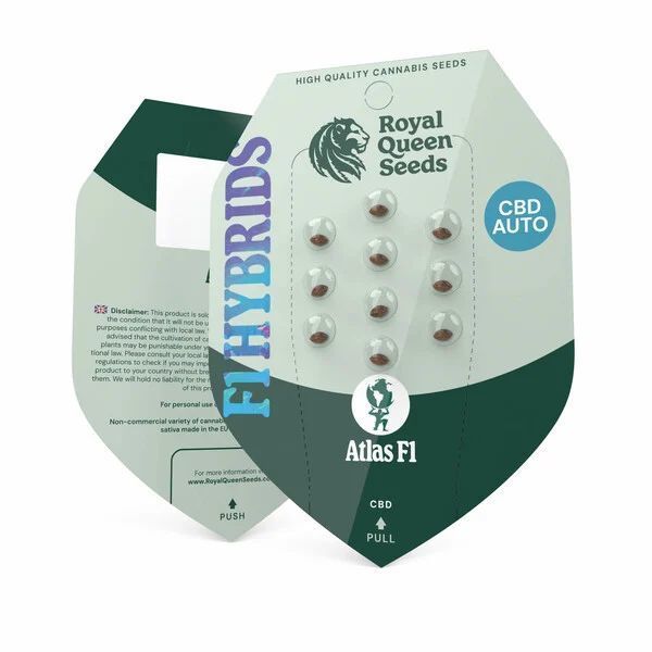 Atlas F1 Auto (Royal Queen Seeds) Feminisoidut