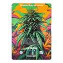 In-Di-Couch Indica Pack – Feminisoidut lajikkeet