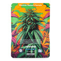 In-Di-Couch Indica Pack – Autoflower-lajikkeet