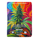 Viva Sativa -pakkaus – Autoflower-lajikkeet