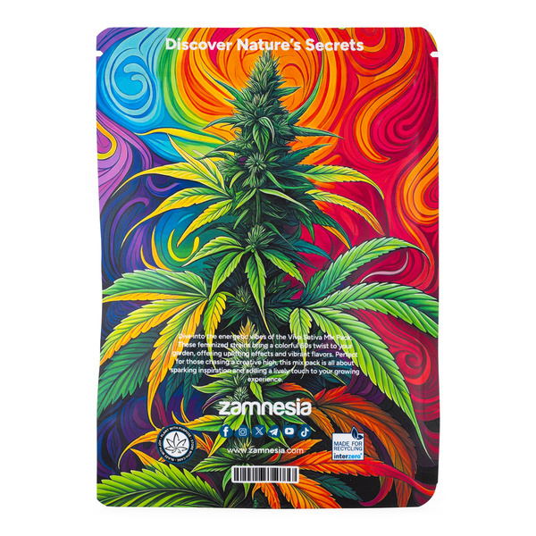 Viva Sativa -pakkaus – Autoflower-lajikkeet