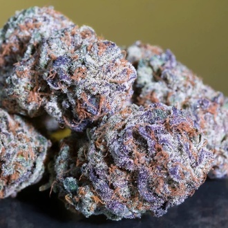 Blue Gem (Paradise Seeds) Feminisoidut