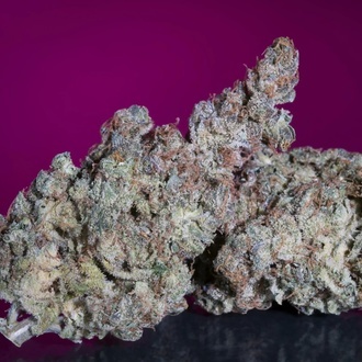 White Noise (Paradise Seeds) Feminisoidut