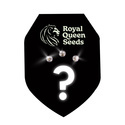 Feminisoidut mysteerisiemenet 3 (Royal Queen Seeds)