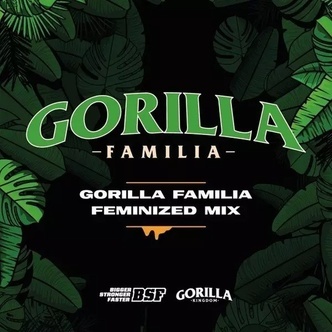 Gorilla Family Mix (BSF Seeds) feminisoidut kannabiksen siemenet