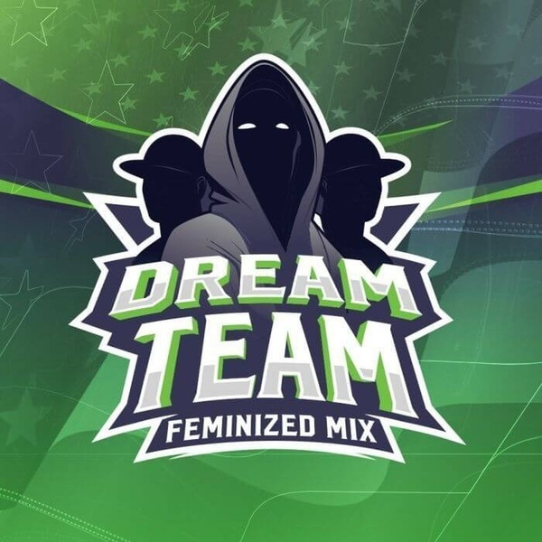 Dream Team Mix (BSF Seeds) Feminisoidut
