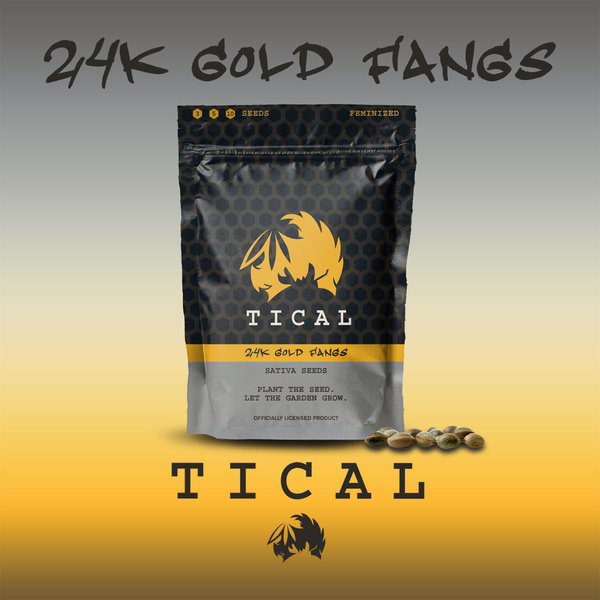 24K Gold Fangs (TICAL) Feminisoidut